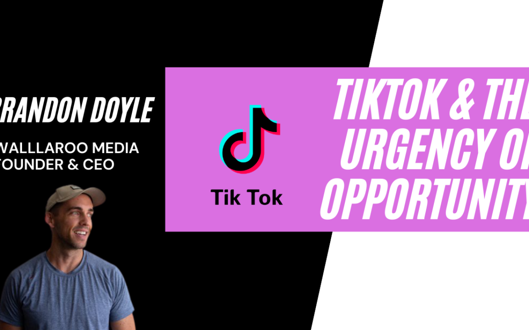 Why There Has Never Been A Better Opportunity Than Tik Tok, with Brandon Doyle of Wallaroo Media